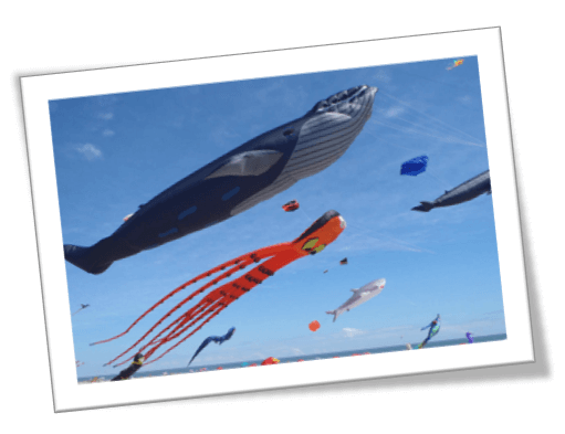 Long Beach Island Events | Long Beach Island NJ Real Estate | LBI Real Estate Market